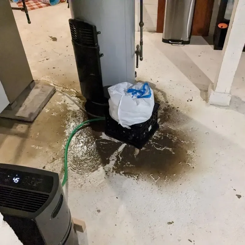 Sewage Backup Cleanup Service in Ruidoso Downs, NM